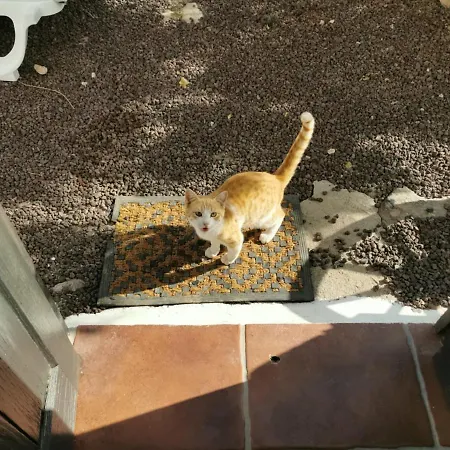 Cecilio Frühstückspension