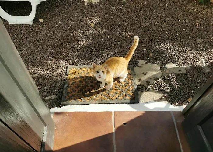 Cecilio 住宿加早餐酒店