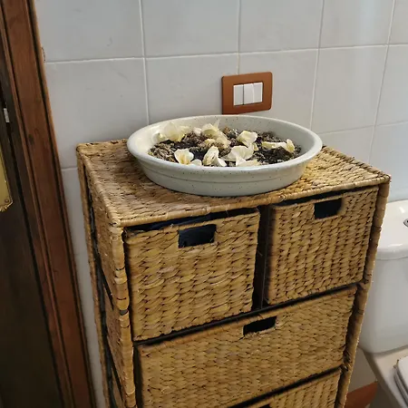 Bed and breakfast Cecilio