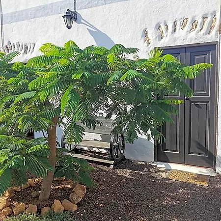 Cecilio Bed & Breakfast Tefía
