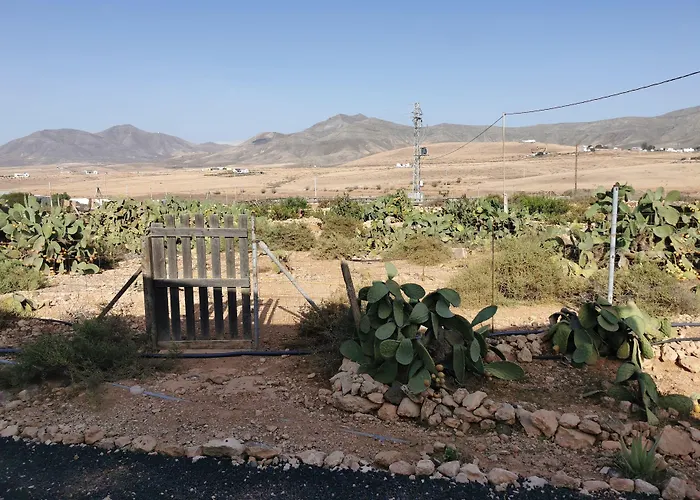 Cecilio Oda ve Kahvaltı Tefía