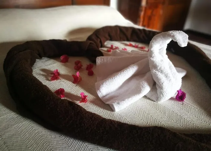 Cecilio ベッド・アンド・ブレックファスト Tefía